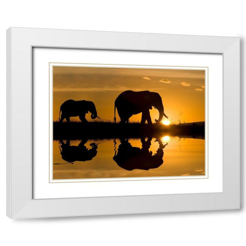 Elephants at Sundown White Modern Wood Framed Art Print with Double Matting by Jimmyz