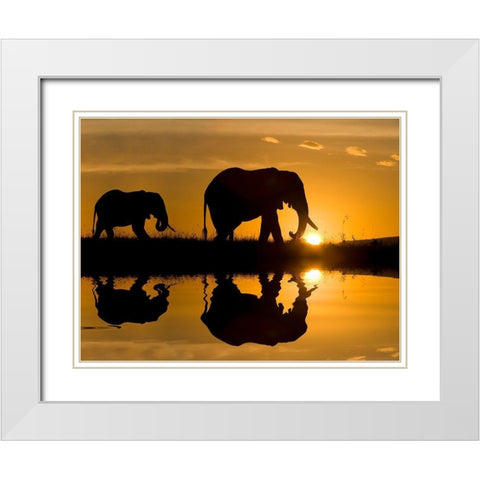 Elephants at Sundown White Modern Wood Framed Art Print with Double Matting by Jimmyz