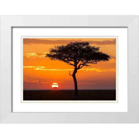 African Sunset II White Modern Wood Framed Art Print with Double Matting by Jimmyz
