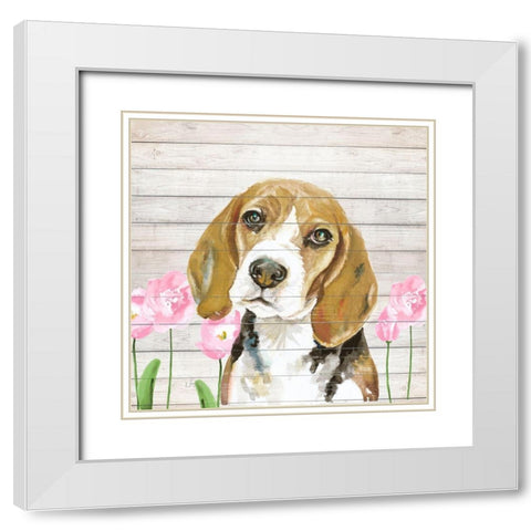 Beagle With Flowers White Modern Wood Framed Art Print with Double Matting by Pinto, Patricia