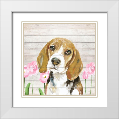 Beagle With Flowers White Modern Wood Framed Art Print with Double Matting by Pinto, Patricia