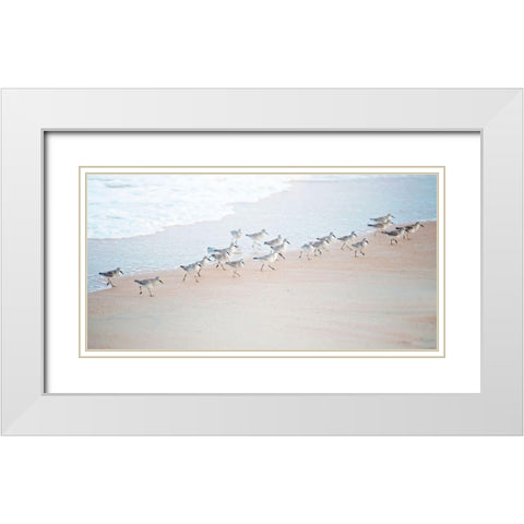 Coastal March White Modern Wood Framed Art Print with Double Matting by Nawrocke, Bruce