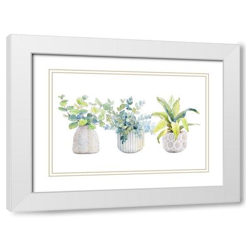 Decorative Plant Trio I White Modern Wood Framed Art Print with Double Matting by Loreth, Lanie
