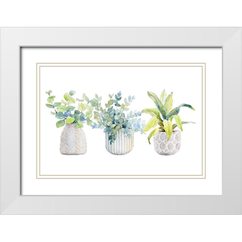 Decorative Plant Trio I White Modern Wood Framed Art Print with Double Matting by Loreth, Lanie