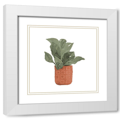 Plant In Terracotta  Pot II White Modern Wood Framed Art Print with Double Matting by Loreth, Lanie