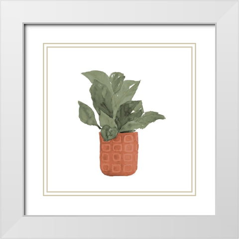 Plant In Terracotta  Pot II White Modern Wood Framed Art Print with Double Matting by Loreth, Lanie