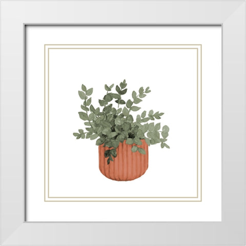 Plant In Terracotta  Pot IV White Modern Wood Framed Art Print with Double Matting by Loreth, Lanie