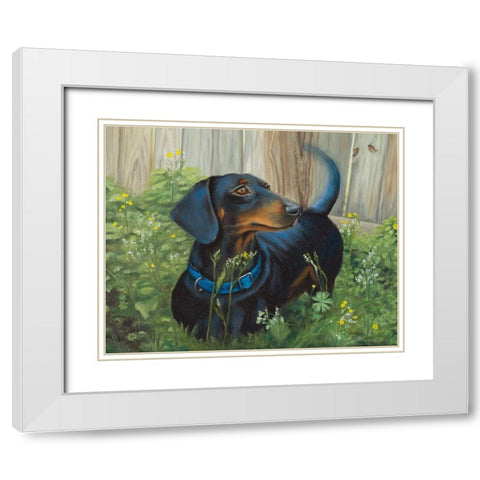 Dachshund White Modern Wood Framed Art Print with Double Matting by Hakimipour, Tiffany