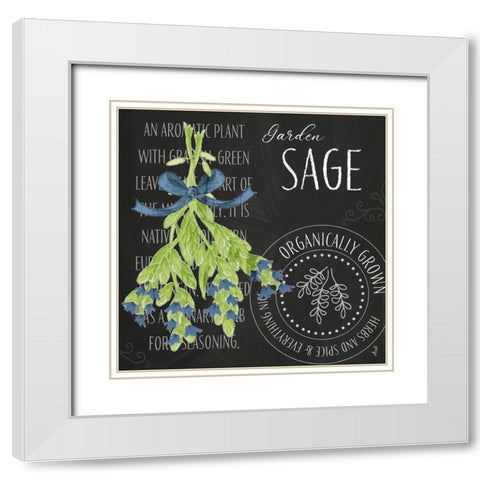 Garden Grown Herbs II White Modern Wood Framed Art Print with Double Matting by Metz, Andi