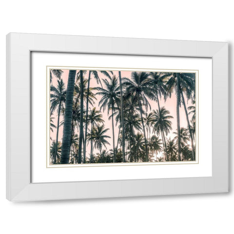 Palms View on Pink Sky I White Modern Wood Framed Art Print with Double Matting by Amos, Andy