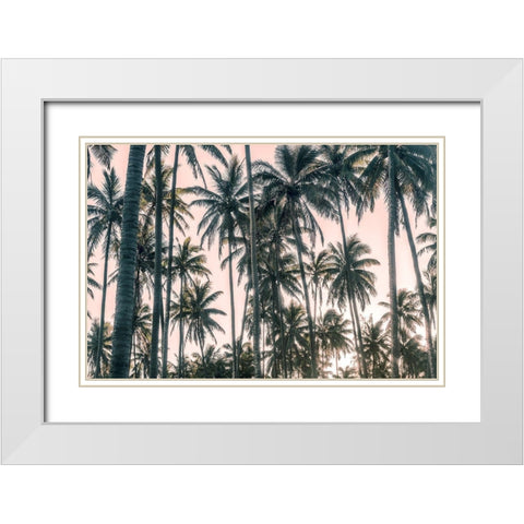 Palms View on Pink Sky I White Modern Wood Framed Art Print with Double Matting by Amos, Andy