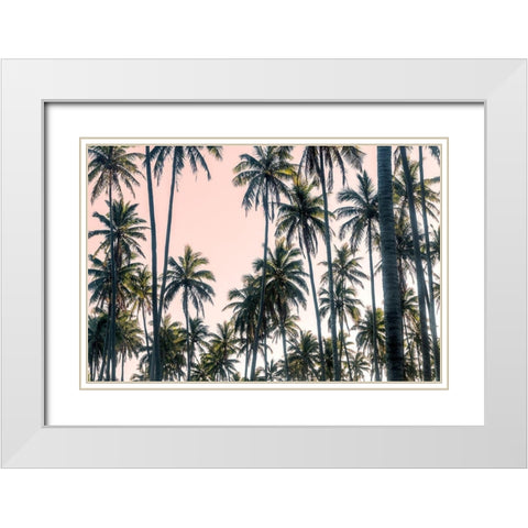 Palms View on Pink Sky II White Modern Wood Framed Art Print with Double Matting by Amos, Andy