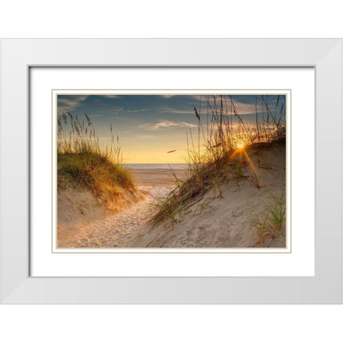 Coastal Dunes White Modern Wood Framed Art Print with Double Matting by Amos, Andy