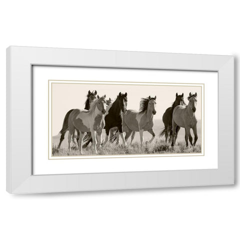 Black And White Horses in the Wild White Modern Wood Framed Art Print with Double Matting by Walker, Carol