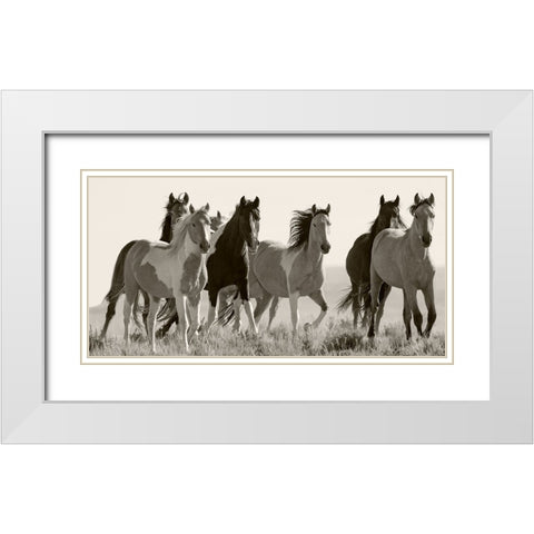 Black And White Horses in the Wild White Modern Wood Framed Art Print with Double Matting by Walker, Carol