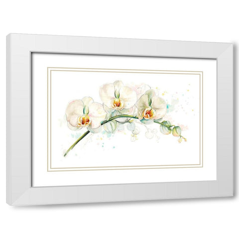 White Orchids White Modern Wood Framed Art Print with Double Matting by Pinto, Patricia