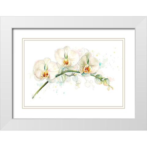White Orchids White Modern Wood Framed Art Print with Double Matting by Pinto, Patricia