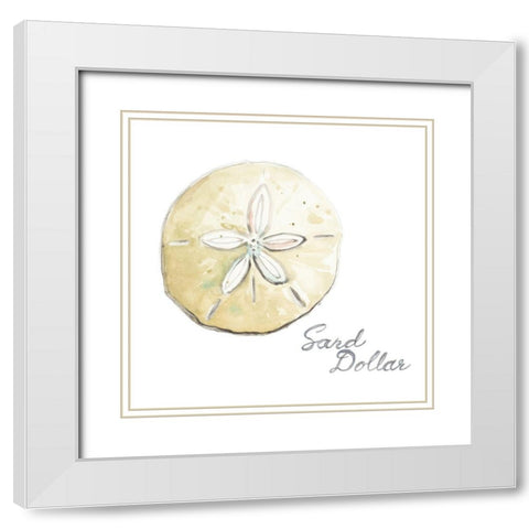 Sand Dollar White Modern Wood Framed Art Print with Double Matting by Pinto, Patricia