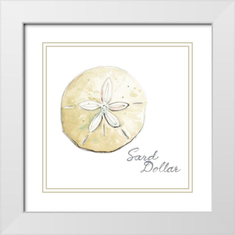 Sand Dollar White Modern Wood Framed Art Print with Double Matting by Pinto, Patricia