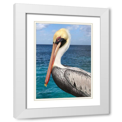 Pelican White Modern Wood Framed Art Print with Double Matting by DeRice, Julie