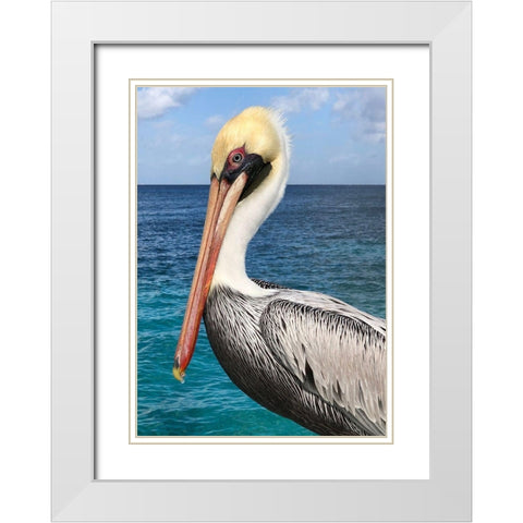 Pelican White Modern Wood Framed Art Print with Double Matting by DeRice, Julie