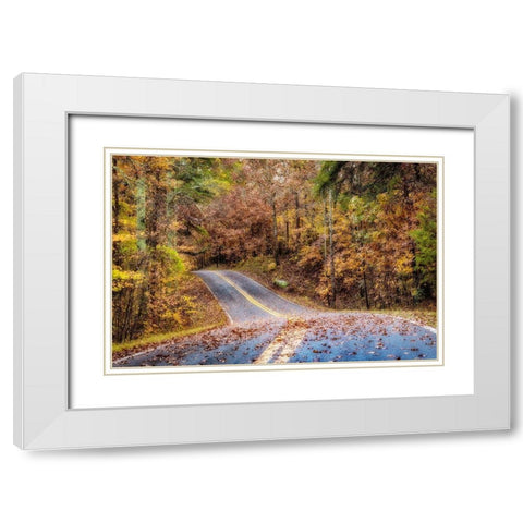 Woodland Road II White Modern Wood Framed Art Print with Double Matting by Amos, Andy