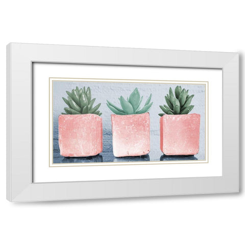 Pink Potted Succulents White Modern Wood Framed Art Print with Double Matting by Bill Carson Photography