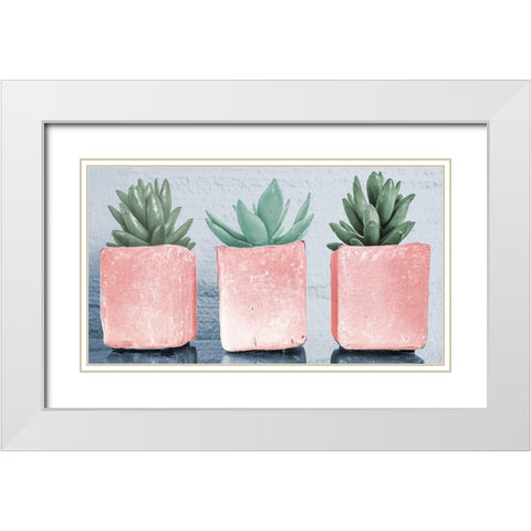 Pink Potted Succulents White Modern Wood Framed Art Print with Double Matting by Bill Carson Photography