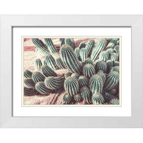 Cactus Muted Burst White Modern Wood Framed Art Print with Double Matting by Bill Carson Photography