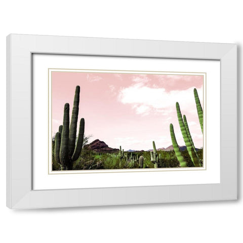 Cactus Landscape Under Pink Sky White Modern Wood Framed Art Print with Double Matting by Bill Carson Photography