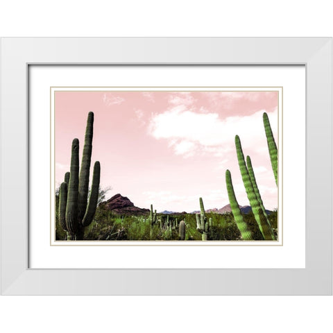 Cactus Landscape Under Pink Sky White Modern Wood Framed Art Print with Double Matting by Bill Carson Photography