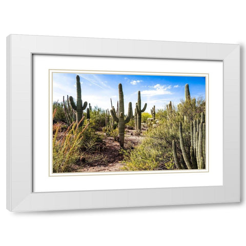 Into the Desert White Modern Wood Framed Art Print with Double Matting by Bill Carson Photography