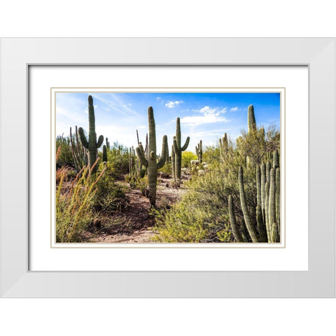 Into the Desert White Modern Wood Framed Art Print with Double Matting by Bill Carson Photography