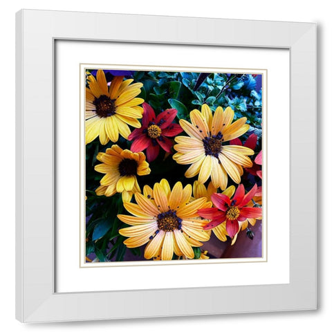 Colorful Bunch White Modern Wood Framed Art Print with Double Matting by Coppel, Anna