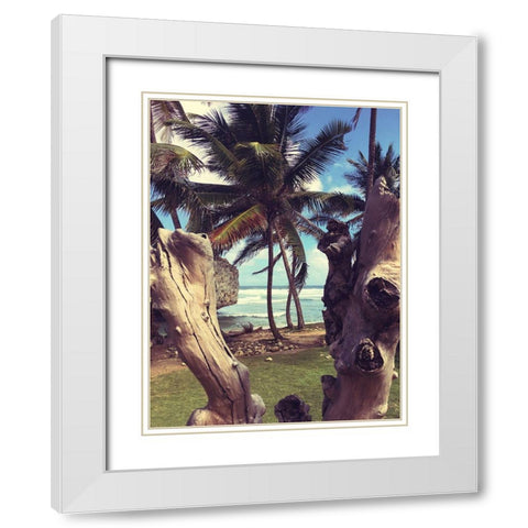 Oceanside Palms White Modern Wood Framed Art Print with Double Matting by Coppel, Anna