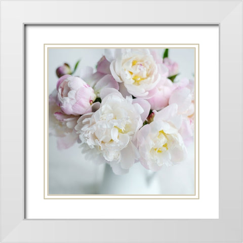 Soft Petal Lane White Modern Wood Framed Art Print with Double Matting by Gardner, Sarah