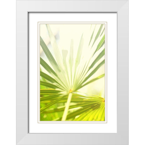 Among Palms I White Modern Wood Framed Art Print with Double Matting by Bryant, Susan