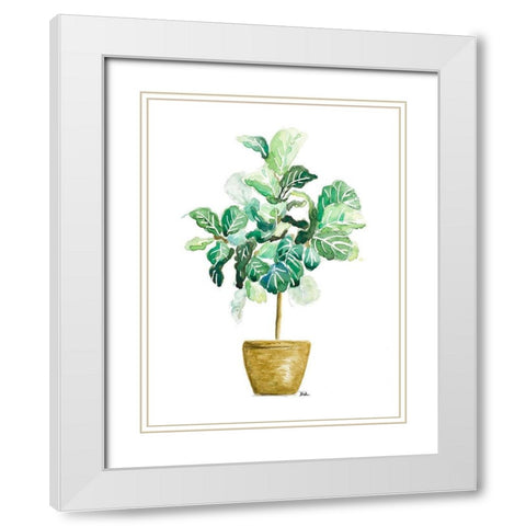 Fig Plant White Modern Wood Framed Art Print with Double Matting by Pinto, Patricia