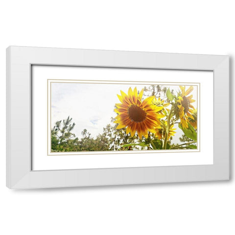 Summer Sunflower I White Modern Wood Framed Art Print with Double Matting by Wilson, Kali