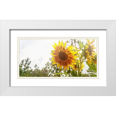 Summer Sunflower I White Modern Wood Framed Art Print with Double Matting by Wilson, Kali