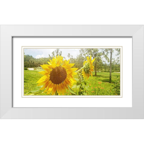 Summer Sunflower II White Modern Wood Framed Art Print with Double Matting by Wilson, Kali