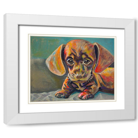 Puppy Face White Modern Wood Framed Art Print with Double Matting by Beauchamp, Andy