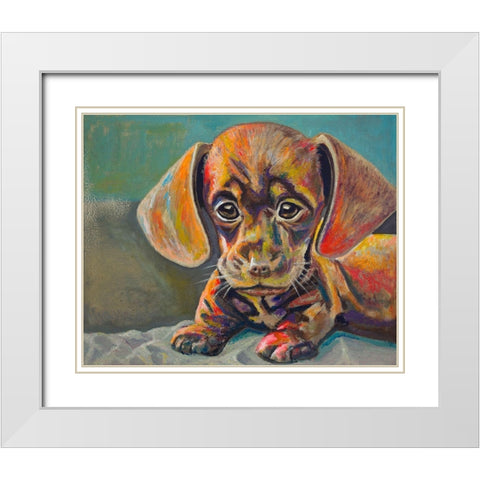 Puppy Face White Modern Wood Framed Art Print with Double Matting by Beauchamp, Andy