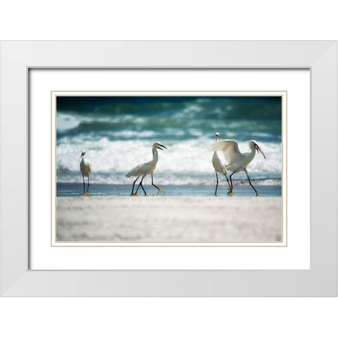 Egret Walk White Modern Wood Framed Art Print with Double Matting by Nawrocke, Bruce