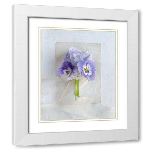 A Little Beauty White Modern Wood Framed Art Print with Double Matting by Gardner, Sarah