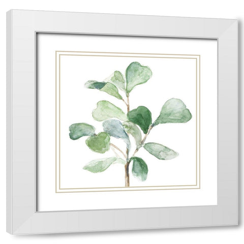 Fiddle Fig Leaf Plant I White Modern Wood Framed Art Print with Double Matting by Loreth, Lanie