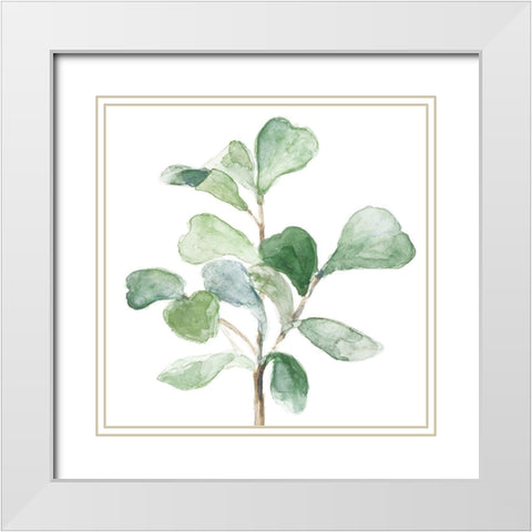 Fiddle Fig Leaf Plant I White Modern Wood Framed Art Print with Double Matting by Loreth, Lanie