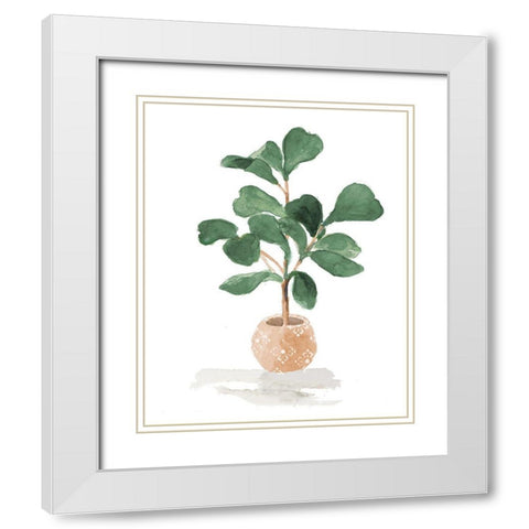 Potted Fiddle Fig Tree I White Modern Wood Framed Art Print with Double Matting by Loreth, Lanie