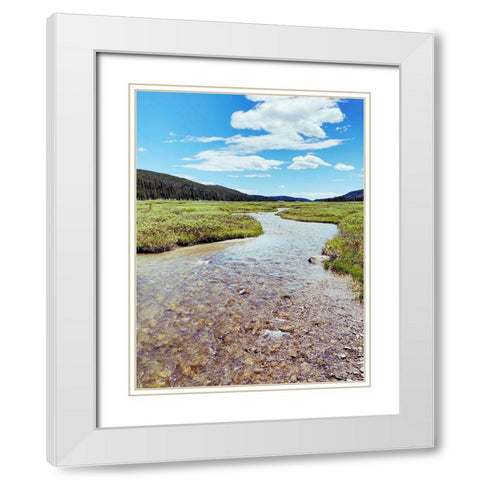 Rocky Stream White Modern Wood Framed Art Print with Double Matting by Coppel, Anna
