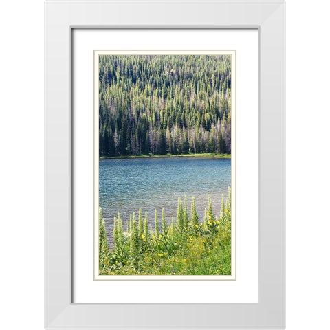 Hidden Lake White Modern Wood Framed Art Print with Double Matting by Coppel, Anna